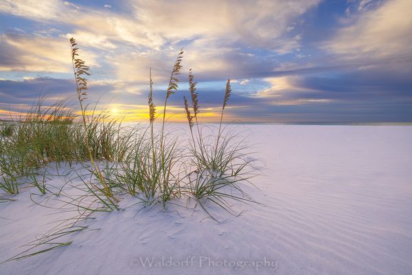Morning Delight | Gulf Islands National Seashore, Florida | Fine Art Landscape Photography on Canvas, Paper, Metal, Acrylic | Photography by Jeff Waldorff