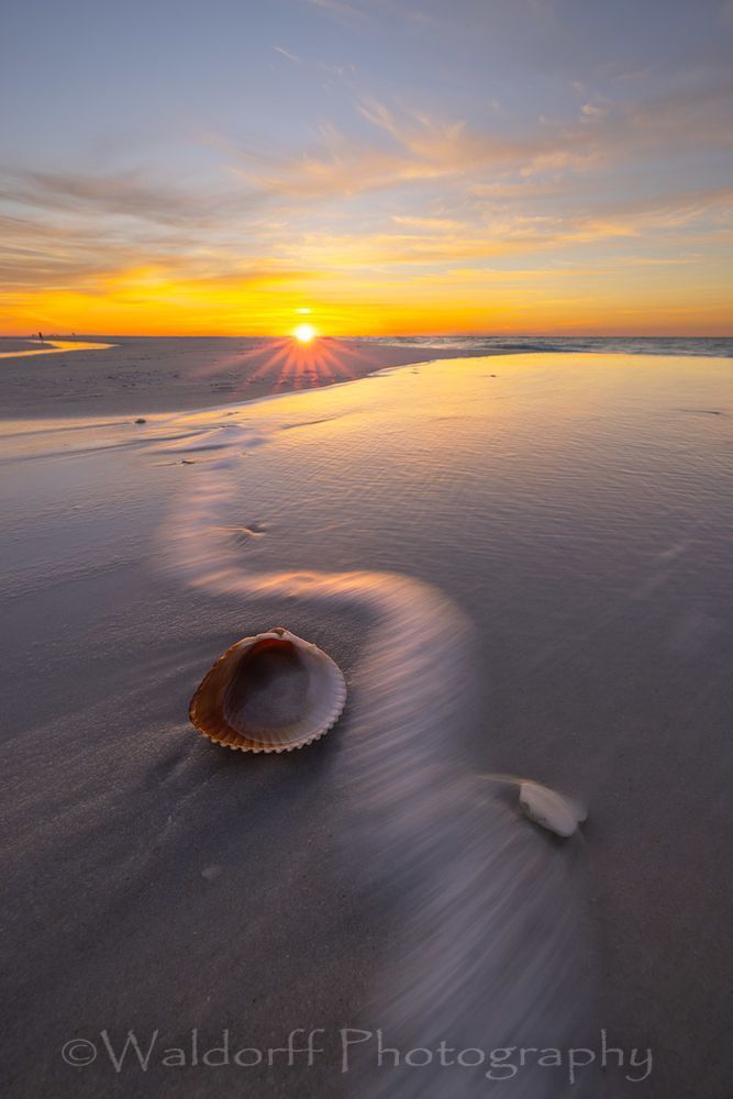 Shells and Gentle Waves | Emerald Coast | Navarre Beach, Florida | Fine Art Landscape Photography on Canvas, Paper, Metal, Acrylic | Photography by Jeff Waldorff