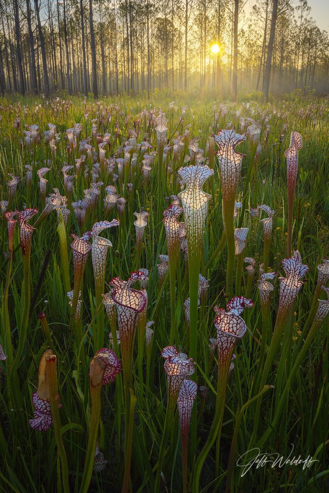 Mdawmdawmdawmdaw7qgraepd6cacehr zcfbfywxu2fyveayeunrgwctqqqltnerwweter6yomfiojy24adow ljj7f22f2vd2s3k0fn 38ezqodftc2xeuhdjufahdziomokxodj3hs jg da6ji5eudq olwagpj5emn4wj1y4i4giuavamcknupckwneysasm6j0fu ivquccx4pwma9gafqh ftlbagwmt1ijpktbrcnvweu4uu3rk4x6npotgycife5eos4vew3nckqvcvid3nmpczvwp  sxhlp 0s6xv5qfi3pnnryts1xubx5p vmyhkrhy