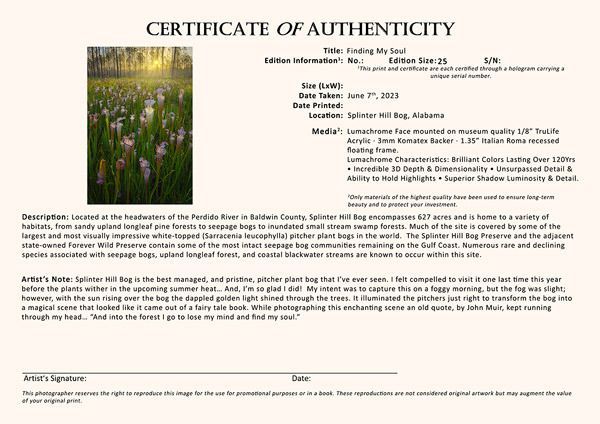 Mdawmdawmdawmdaw7qgraepd6cacehr zcfbfywxu2fyveayeunrgwctqqqltnerwweter6yomfiojy24adow ljj7f22f2vd2s3k0fn 38ezqodftc2xeuhdjufahdziomokxodj3hs jg da6ji5eudq olwagpj5emn4wj1y4i dejwkaaxcj49gxrni9if0hqttruen0blgi3pe92 grxvg 6luou7ytliaz0makibkhur5yqevhdrh6 4orhibdwvo4y8b2r1alxyvbrcrywsvfridv3o20fwgyuqjqvk6hyl2csa7kbh4a