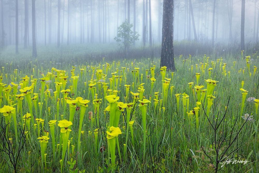 Mdawmdawmdawmdaw7qgraepd6cacehr zcfbfywxu2fyveayeunrgwctqqqltnerwweter6yomfiojy24adow ljj7f22f2vd2s3k0fn 38ezqodftc2xeuhdjufahdziomokxodj3hs jg da6ji5eudq olwagpj5emn4wj1y9i4giuajbnyknujsjkcg9cqlnqmrtuvaqr wfw4d5h mpsrx9ukk7rruxnjxjh yrar69tuxayrkvfkd8 4o9hilpxvqknc5uhgv8ks nejcnhxpnudqsh9m9sl4rzu8m6lgudjtnjan0xqaodh2vdga0l8y