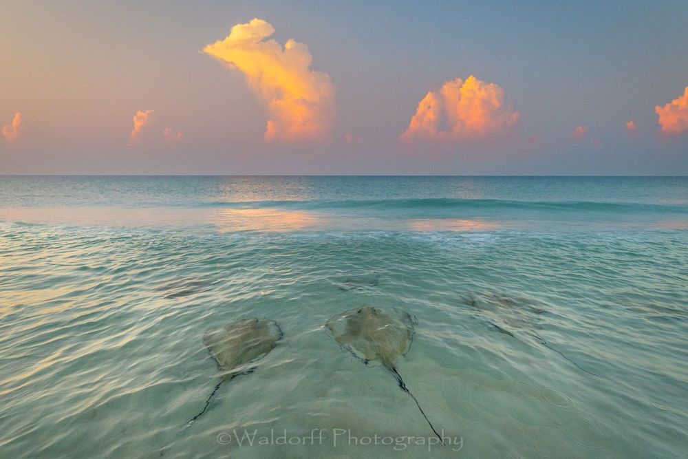 Meeting of the Rays | Gulf Islands National Seashore, Florida  | Fine Art Landscape Photography on Canvas, Paper, Metal, Acrylic | Photography by Jeff Waldorff