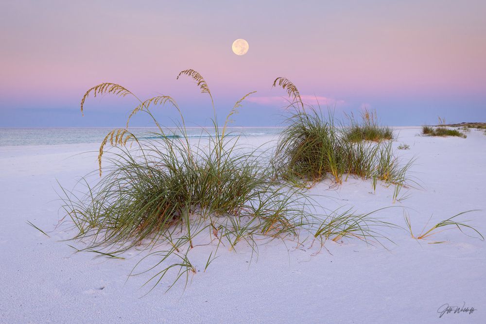 Mdawmdawmdawmdaw7qgraepd6cacehr zcfbfywxu2fyveayeunrgwctqqqltnerwweter6yomfiojy24adow ljj7f22f2vd2s3k0fn 38ezqodftc2xeuhdjufahdziomokxodj3hs jg da6ji5eudq olwagpj5emn4wj1yhi4giuaxansknupkpkce1iv1t7srtu 6mq gay4pwh mpsrx9ukk7rruxnjxjh yrar69tuxayrkvfkd8 4o9hilpxvqknc5uhgv8ks nejcnhxpnudqsh9m9sl4rzu8m6lgudcvq3w9umwx6cwji6t2d1eu