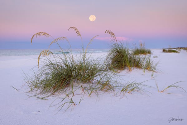 Whispers of the Sturgeon Moon - Gulf Islands National Seashore, Florida | Fine Art Prints & Acrylic | Waldorff Photography