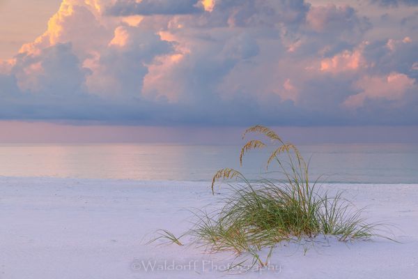 Standing Still | Gulf Islands National Seashore, Florida  | Fine Art Landscape Photography on Canvas, Paper, Metal, Acrylic | Photography by Jeff Waldorff