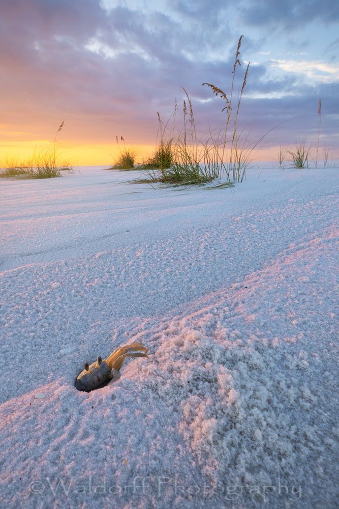 Idalia's Tidying | Gulf Islands National Seashore, Florida  | Fine Art Landscape Photography on Canvas, Paper, Metal, Acrylic | Photography by Jeff Waldorff