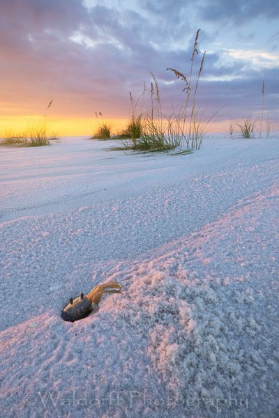 Idalia's Tidying | Gulf Islands National Seashore, Florida  | Fine Art Landscape Photography on Canvas, Paper, Metal, Acrylic | Photography by Jeff Waldorff