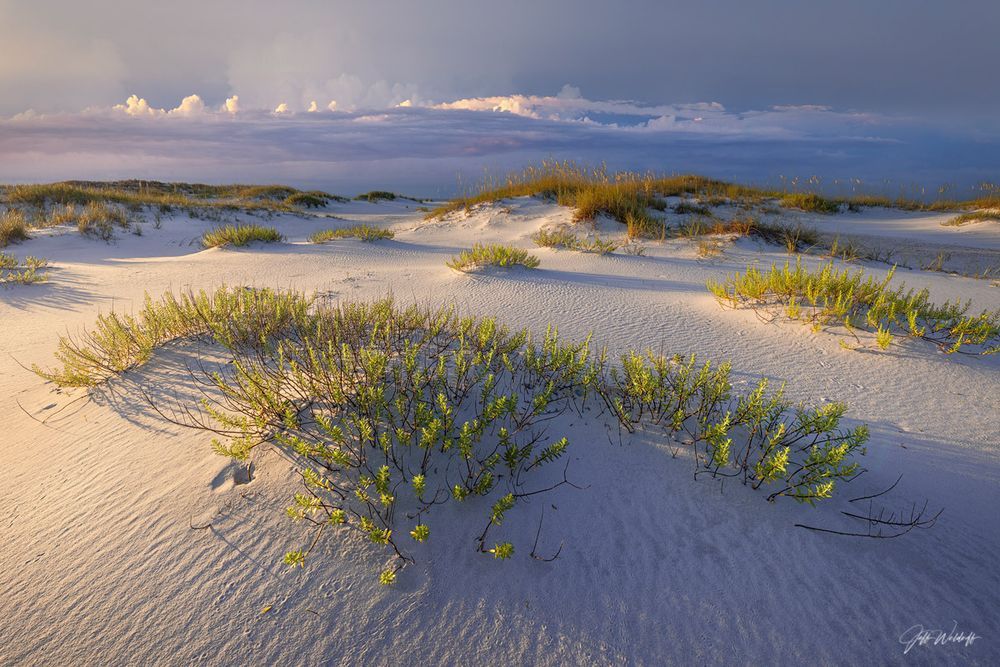 Mdawmdawmdawmdaw7qgraepd6cacehr zcfbfywxu2fyveayeunrgwctqqqltnerwweter6yomfiojy24adow ljj7f22f2vd2s3k0fn 38ezqodftc2xeuhdjufahdziomokxodj3hs jg da6ji5eudq olwagpj5emn4wj1ymi4giuaryncknu5gmkdjkdbzzpsrtu 6mq gyw4vwh mpsrx9ukk7rruxnjxjh yrar69tuxayrkvfkd8 4o9hilpxvqknc5uhgv8ks nejcnhxpnudqsh9m9sl4rzu8m6lgudgzge0gdrl7zl a1agxo gq