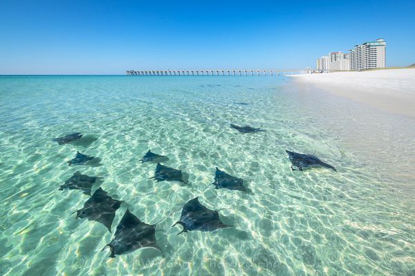 Waves of Rays | Navarre Beach, Florida | Fine Art Landscape Photography on Canvas, Paper, Metal, Acrylic | Photography by Jeff Waldorff