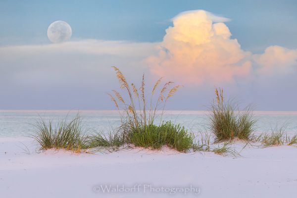 Pastel Moon | Gulf Islands National Seashore, Florida  | Fine Art Landscape Photography on Canvas, Paper, Metal, Acrylic | Photography by Jeff Waldorff