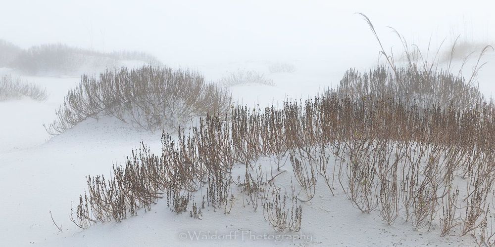 Capturing A Dream (23 Ab) Photography Art | Waldorff Photography