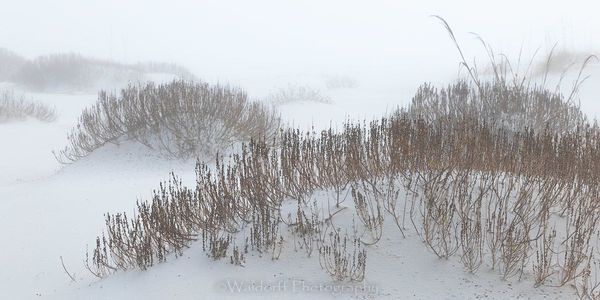 Capturing A Dream (23 Ab) Photography Art | Waldorff Photography