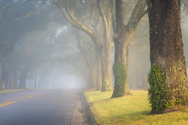 12th Avenue | Pensacola of Northwest Florida | Fine Art Prints on Canvas, Paper, Metal, and Acrylic by Waldorff Photography.