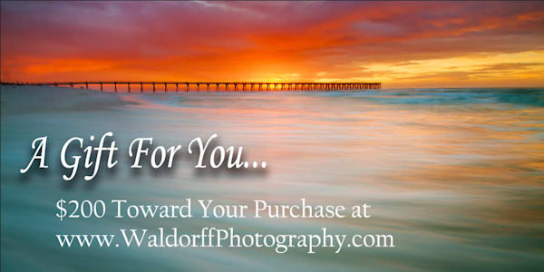 $200 Emerald Coast of Florida Gift Card to purchase Fine Art Prints on Canvas, Paper, Metal, & More | Waldorff Photography