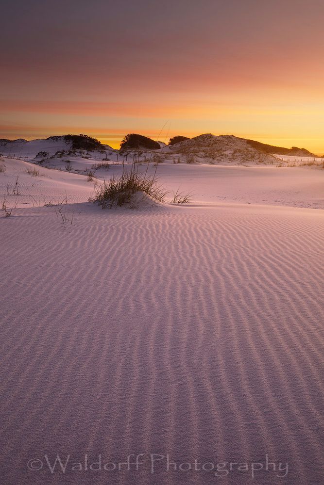 Matterhorn Sand Dune | Okaloosa Island, Florida | Fine Art Prints on Canvas, Paper, Metal, & More | Waldorff Photography