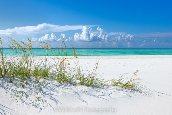 Sea Oats & Emerald Green Water | Emerald Coast, Florida  | Fine Art Landscape Photography on Canvas, Paper, Metal, Acrylic | Photography by Jeff Waldorff