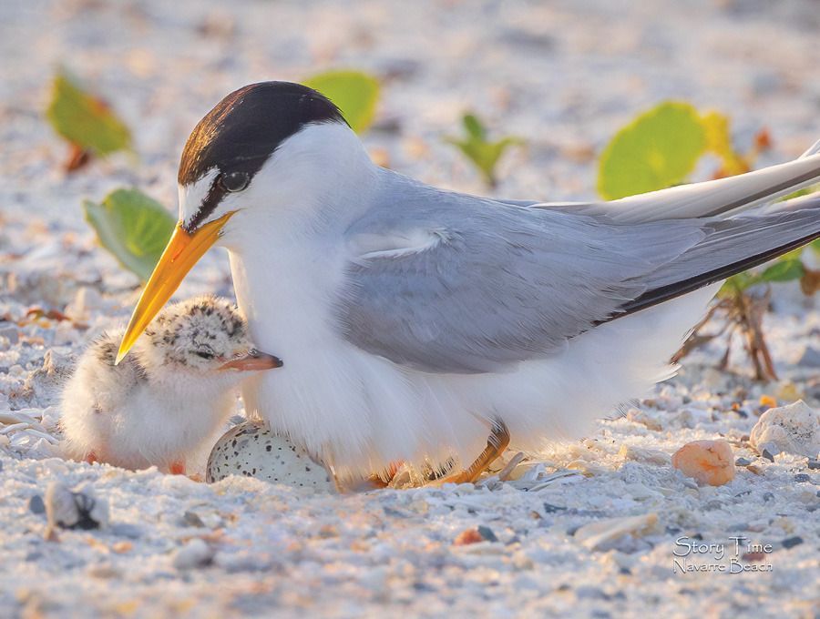 Mdawmdawmdawmdaw7qgraepd6cacehr zcfbfywxu2fyveayeunrgwctqqqltnerwweter6yomfiojy24adow ljj7f22f2vd2s3k0fn 38ezqodftc2xeuhdjufahdziomokxodj3hs jg da6ji5eudq olwagpj5emn4wjc eufdwdfieyxdp1zwir3faw69lwbskcrpxk7hmgsb9wrzogqtloul4eu301jlljb ziawhxwaj9ab crrn4sdpt2yc8ozydjajbkiv18uqx8rid2 f hmmidw9aeygz 8m9gc goseswzfmnj vmhy fyv0jnxfrsixbqqtolmciq