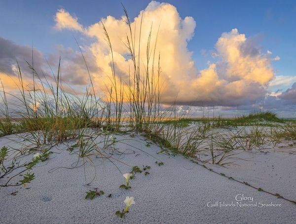Florida's Emerald Coast 2026 Calendar | Waldorff Photography