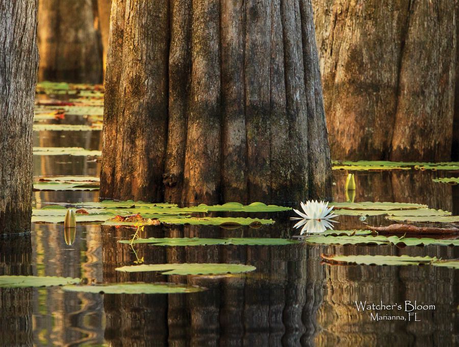 Mdawmdawmdawmdaw7qgraepd6cacehr zcfbfywxu2fyveayeunrgwctqqqltnerwweter6yomfiojy24adow ljj7f22f2vd2s3k0fn 38ezqodftc2xeuhdjufahdziomokxodj3hs jg da6ji5eudq olwagpj5emn4wjc eufdwdfieyxdp1zwirxvawkfhwbskcrpxk6xngmy 2bzogqtloul4eu331jlljb ziawhxwaj9ab crrn4sdpt2yc8ozydjajbkiv18uqx8rid2 f hmmidw9aeygz 8m9gc goseswzfmnj vmhy sveipkg1z9jggkd2w7xev8