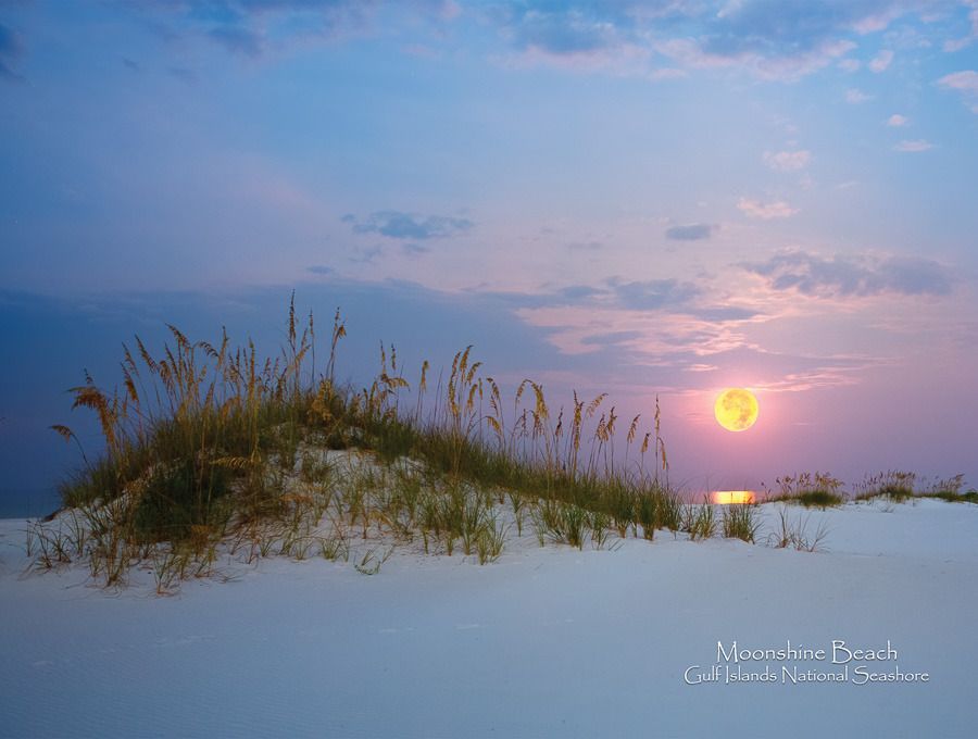 Mdawmdawmdawmdaw7qgraepd6cacehr zcfbfywxu2fyveayeunrgwctqqqltnerwweter6yomfiojy24adow ljj7f22f2vd2s3k0fn 38ezqodftc2xeuhdjufahdziomokxodj3hs jg da6ji5eudq olwagpj5emn4wjc eufdwdfieyxdp1zwirn1awa1jwbskcrpxk7zbnsq7mbzogqtloul4eu331jlljb ziawhxwaj9ab crrn4sdpt2yc8ozydjajbkiv18uqx8rid2 f hmmidw9aeygz 8m9gc goseswzfmnj vmhy fkor6dhogc5trt3ppduwug