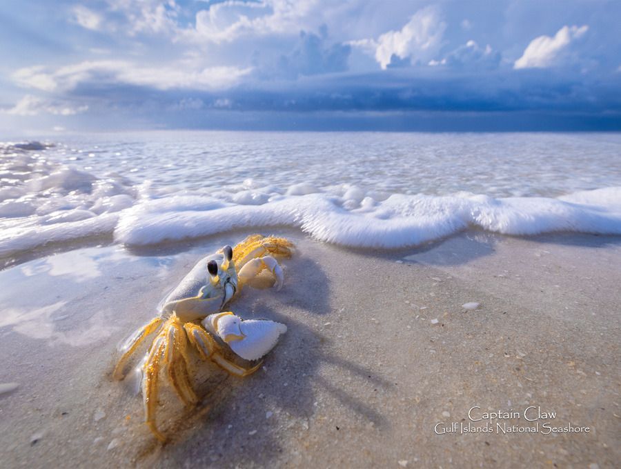 Mdawmdawmdawmdaw7qgraepd6cacehr zcfbfywxu2fyveayeunrgwctqqqltnerwweter6yomfiojy24adow ljj7f22f2vd2s3k0fn 38ezqodftc2xeuhdjufahdziomokxodj3hs jg da6ji5eudq olwagpj5emn4wjc eufdwdfieyxdp1zwirnnaratnwbskcrpxk61am8c4wrzogqtloul4eu331jlljb ziawhxwaj9ab crrn4sdpt2yc8ozydjajbkiv18uqx8rid2 f hmmidw9aeygz 8m9gc goseswzfmnj vmhy vvoucpshvgs upwtcvqiqa