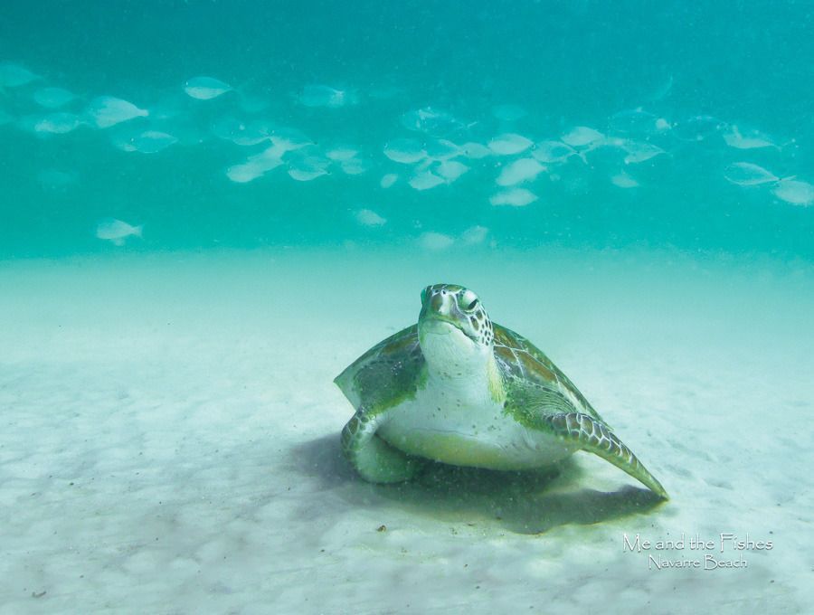 Mdawmdawmdawmdaw7qgraepd6cacehr zcfbfywxu2fyveayeunrgwctqqqltnerwweter6yomfiojy24adow ljj7f22f2vd2s3k0fn 38ezqodftc2xeuhdjufahdziomokxodj3hs jg da6ji5eudq olwagpj5emn4wjc eufdwdfieyxdp1zwirnvaxlt5wbskcrpxk6hhwmkjw7zogqtloul4eu301jlljb ziawhxwaj9ab crrn4sdpt2yc8ozydjajbkiv18uqx8rid2 f hmmidw9aeygz 8m9gc goseswzfmnj vmhy x60hbkjvmgcyc7aw3aqdbc