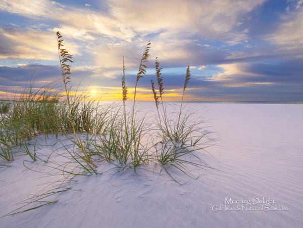 Florida's Emerald Coast 2025 Calendar | Waldorff Photography