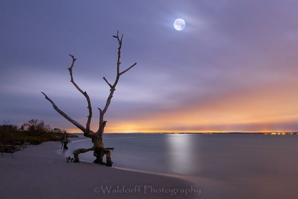 Skeleton Moon (20 Ax) Photography Art | Waldorff Photography