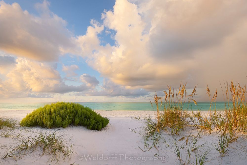 All Things Emerald Coast | Gulf Islands National Seashore, Florida  | Fine Art Landscape Photography on Canvas, Paper, Metal, Acrylic | Photography by Jeff Waldorff