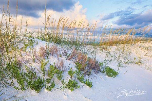 Sweet Serenity | Florida’s Gulf Islands National Seashore Fine Art Photographs - Fine Art Prints & Acrylic | Waldorff Photography
