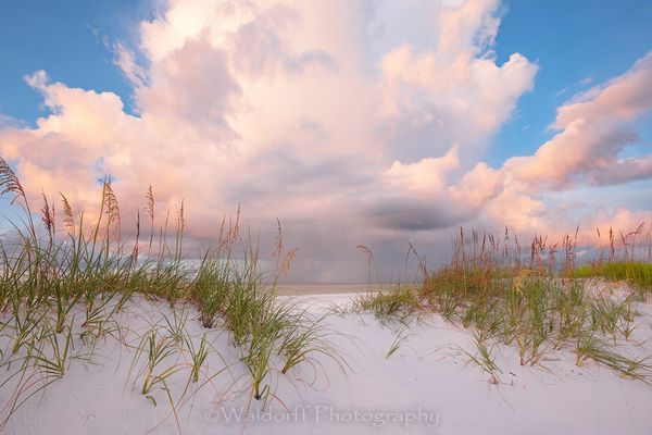 The First Morning (20 Aj) Photography Art | Waldorff Photography