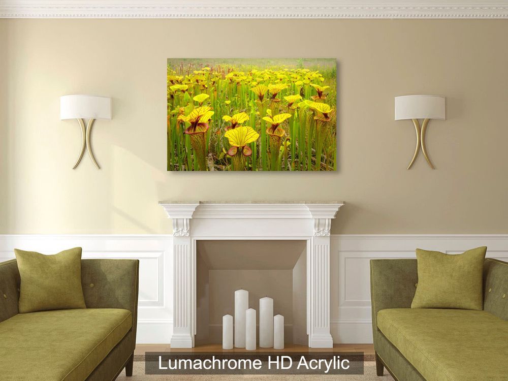 Mdawmdawmdawmdaw7qgraepd6cacehr zcfbfywxu2fyveayeunrgwctqqqltnerwweter6yomfiojy24adow ljj7f22f2vd2s3k0fn 38ezqodftc2xeuhdjufahdziomokxodj3hs jg da6ji5eudq olwagpj5emn4wjfy i twdfhhrhvp88nrfbttbr5y8pxnvpguruozwoz8kbcvxllztvs9vbssizvumpc d7i8ub1yqdl2pbzh5nglbmzkwva5y8bgvahwnmcrro8ghhpnpdphmdstvhqzbe4m6hu0lpkk fiajfobdgykjpp8eexa