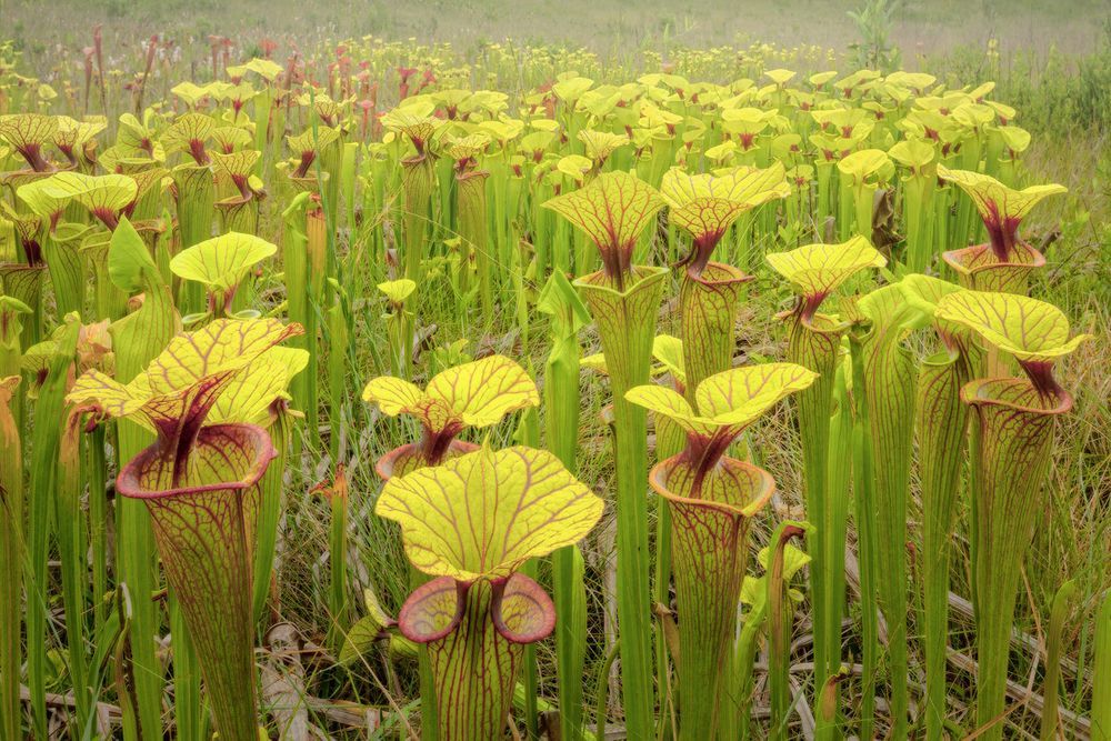 Mdawmdawmdawmdaw7qgraepd6cacehr zcfbfywxu2fyveayeunrgwctqqqltnerwweter6yomfiojy24adow ljj7f22f2vd2s3k0fn 38ezqodftc2xeuhdjufahdziomokxodj3hs jg da6ji5eudq olwagpj5emn4wjfy i4ghuajyniknu5sikctvc6rv8srtu 6rqoyexirwh mpsrx9ukk7rruxnjxjh yrar69tuxayrkvfkd8 4o9hilpxvqknc5uhgv8ks nejcnhxpnudqsh9m9sl4rzu8m6lgudm9ge08inzh l3o4zx4agnu