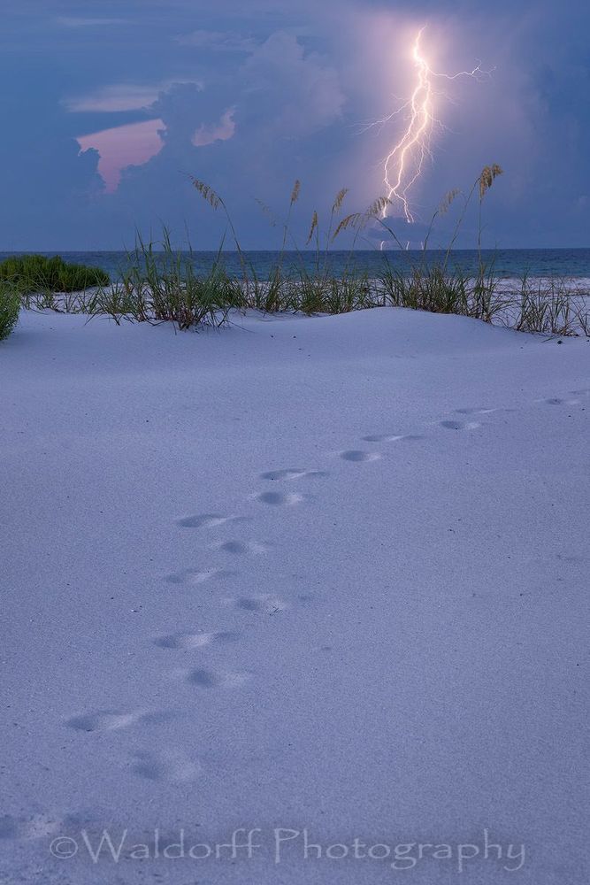 Lightning Dance (21 Au) Photography Art | Waldorff Photography
