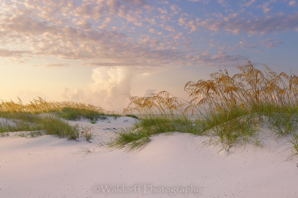 Dust in the Light | Gulf Islands National Seashore, Florida  | Fine Art Landscape Photography on Canvas, Paper, Metal, Acrylic | Photography by Jeff Waldorff