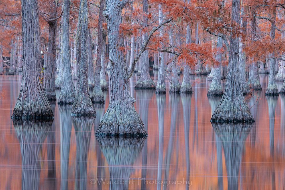 Meandering Waters Photography Art | Waldorff Photography