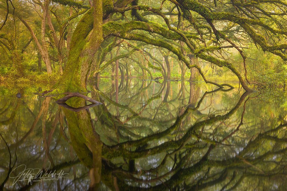 Mdawmdawmdawmdaw7qgraepd6cacehr zcfbfywxu2fyveayeunrgwctqqqltnerwweter6yomfiojy24adow ljj7f22f2vd2s3k0fn 38ezqodftc2xeuhdjufahdziomokxodj3hs jg da6ji5eudq olwagpj5emn4wjv 3i4gguatyniknu5aikdf3zvl7 crtu optekcxyp h mpsrx9ukk7rruxnjxjh yrar69tuxayrkvfkd8 4o9hilpxvqknc5uhgv8ks nejcnhxpnudqsh9m9sl4rzu8m6lgudofv4b38deikr1d90hk7awm