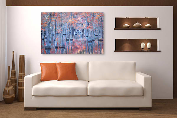 Fire & Ice | Cypress Trees, Georgia | Limited Fine Art Prints | Photography by Jeff Waldorff