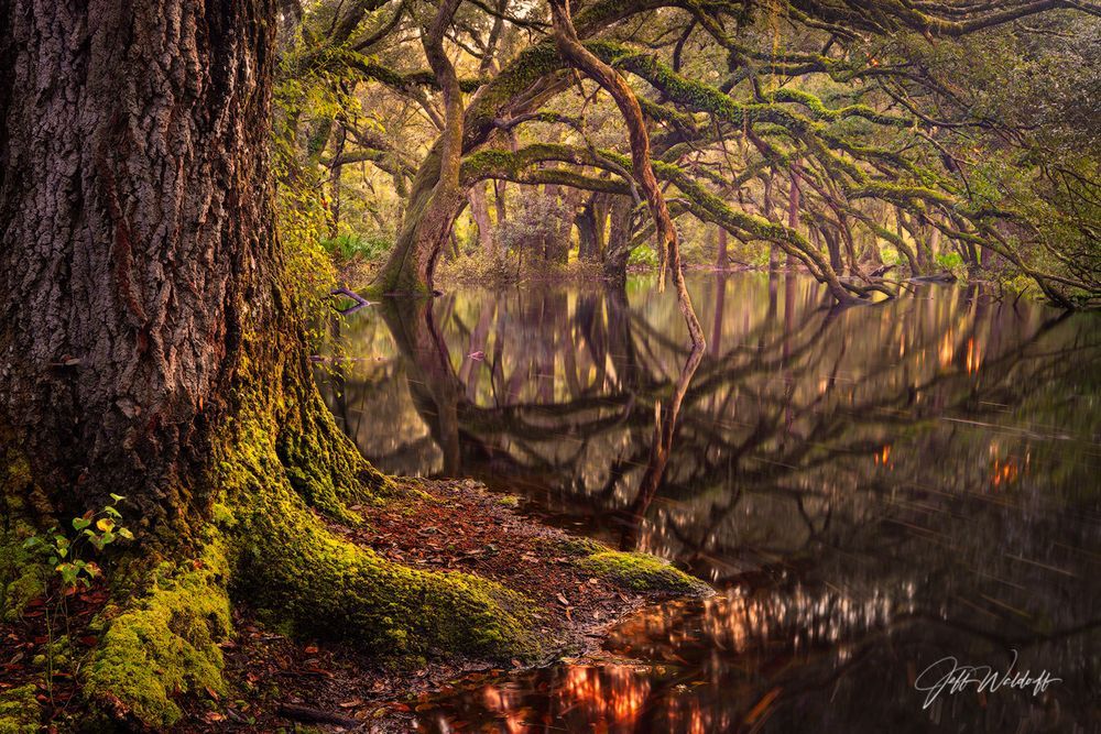 Mdawmdawmdawmdaw7qgraepd6cacehr zcfbfywxu2fyveayeunrgwctqqqltnerwweter6yomfiojy24adow ljj7f22f2vd2s3k0fn 38ezqodftc2xeuhdjufahdziomokxodj3hs jg da6ji5eudq olwagpj5emn4wjv ni4gguatynyknu5sikdvzcah79srtu knro0ewyz6h mpsrx9ukk7rruxnjxjh yrar69tuxayrkvfkd8 4o9hilpxvqknc5uhgv8ks nejcnhxpnudqsh9m9sl4rzu8m6lgudbr g0ejr yszmrqqcph6lo