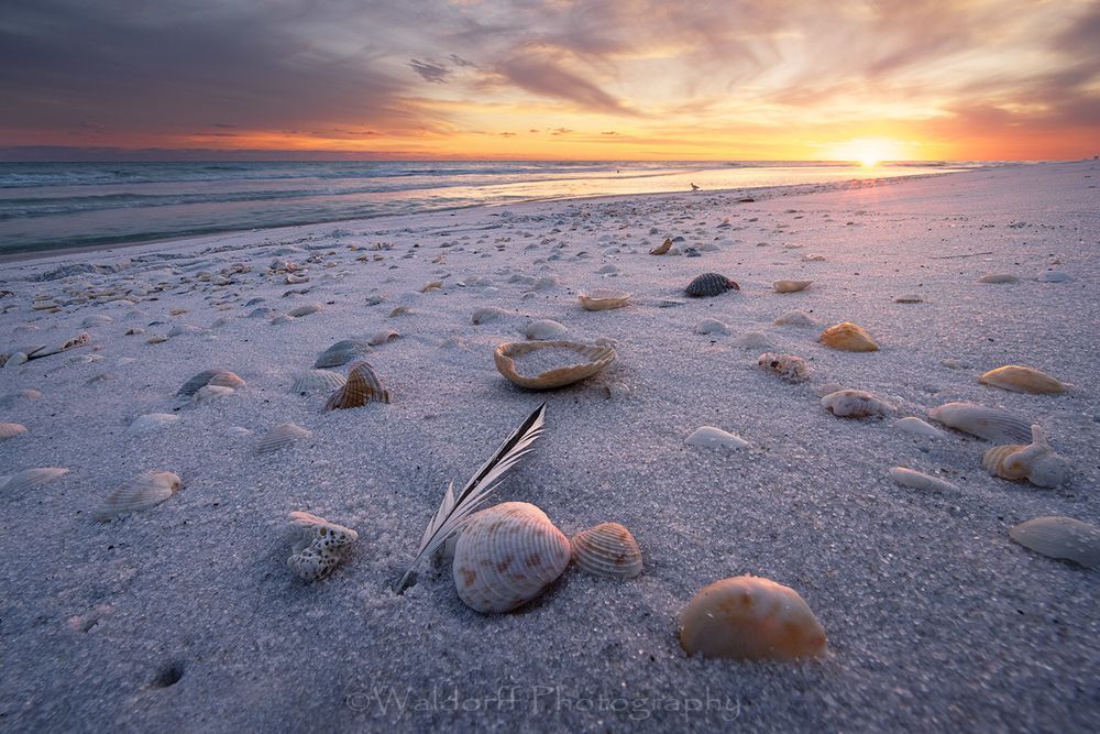 Angels Near  (21 Aa) Photography Art | Waldorff Photography