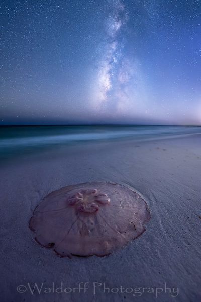 Starlit Moon Photography Art | Waldorff Photography