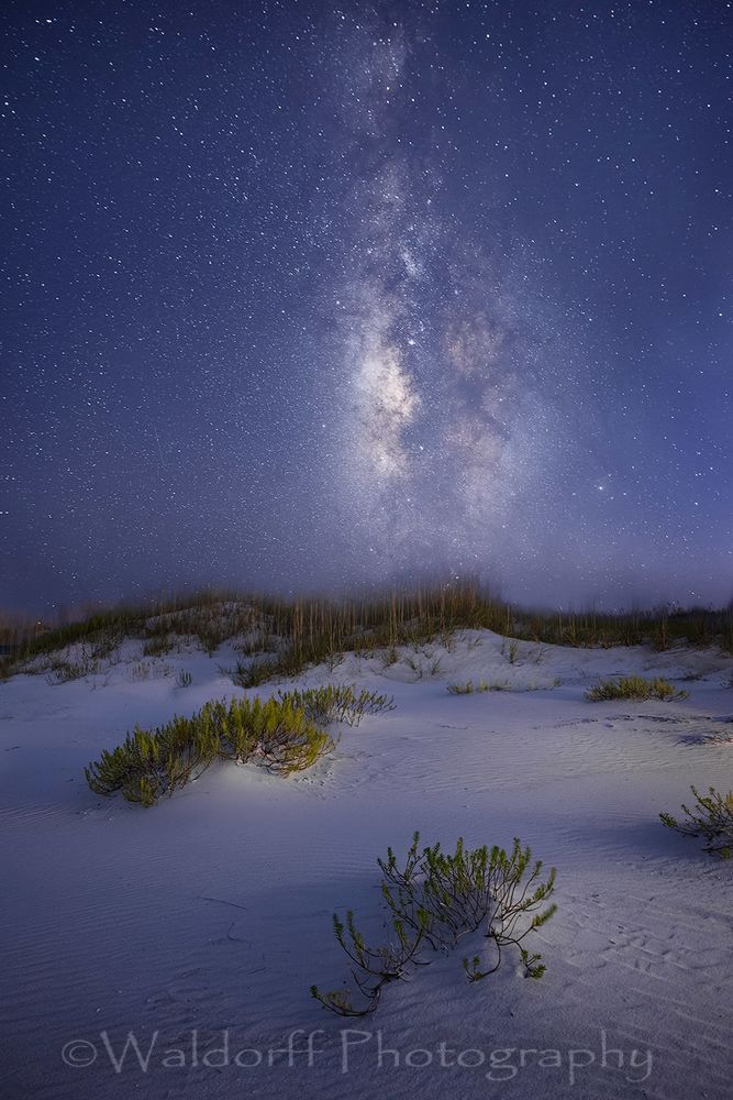 Starlit Dunes under the Milky Way | Gulf Islands National Seashore, Florida  | Fine Art Prints on Canvas, Paper, Metal, & More | Waldorff Photography