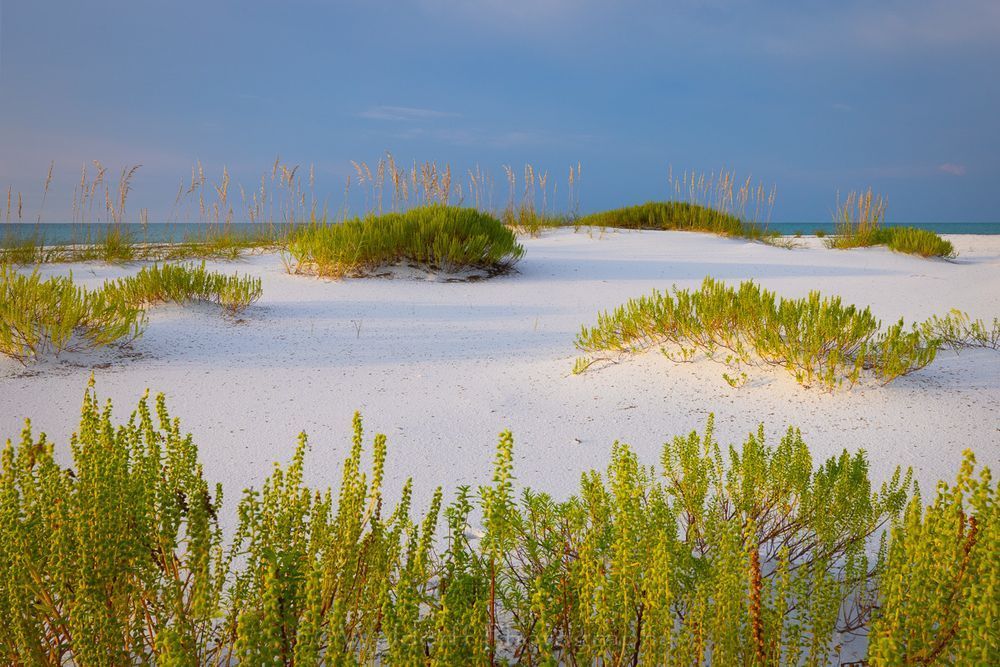 Paradise Beach | Gulf Islands National Seashore, Florida  | Fine Art Landscape Photography on Canvas, Paper, Metal, Acrylic | Photography by Jeff Waldorff