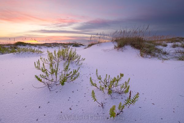 Morning Paradise | Gulf Islands National Seashore, Florida  | Fine Art Landscape Photography on Canvas, Paper, Metal, Acrylic | Photography by Jeff Waldorff