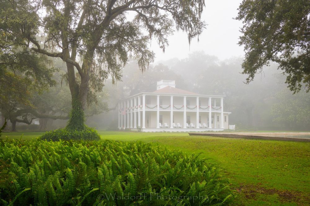 Garden of Eden (22BP)