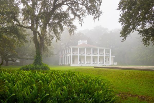 Garden of Eden (22BP)