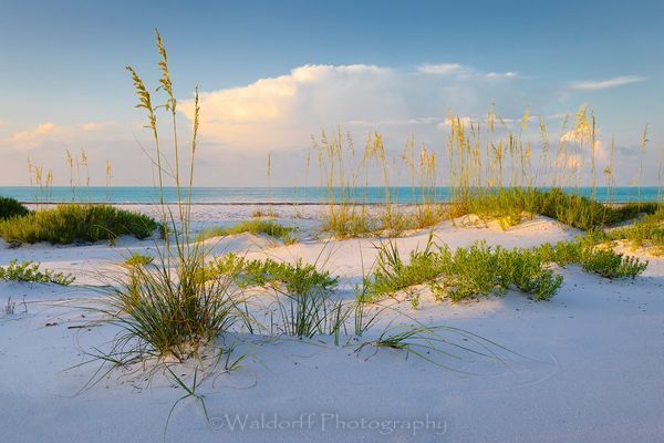 Sand Castles | Gulf Islands National Seashore, Florida  | Fine Art Landscape Photography on Canvas, Paper, Metal, Acrylic | Photography by Jeff Waldorff