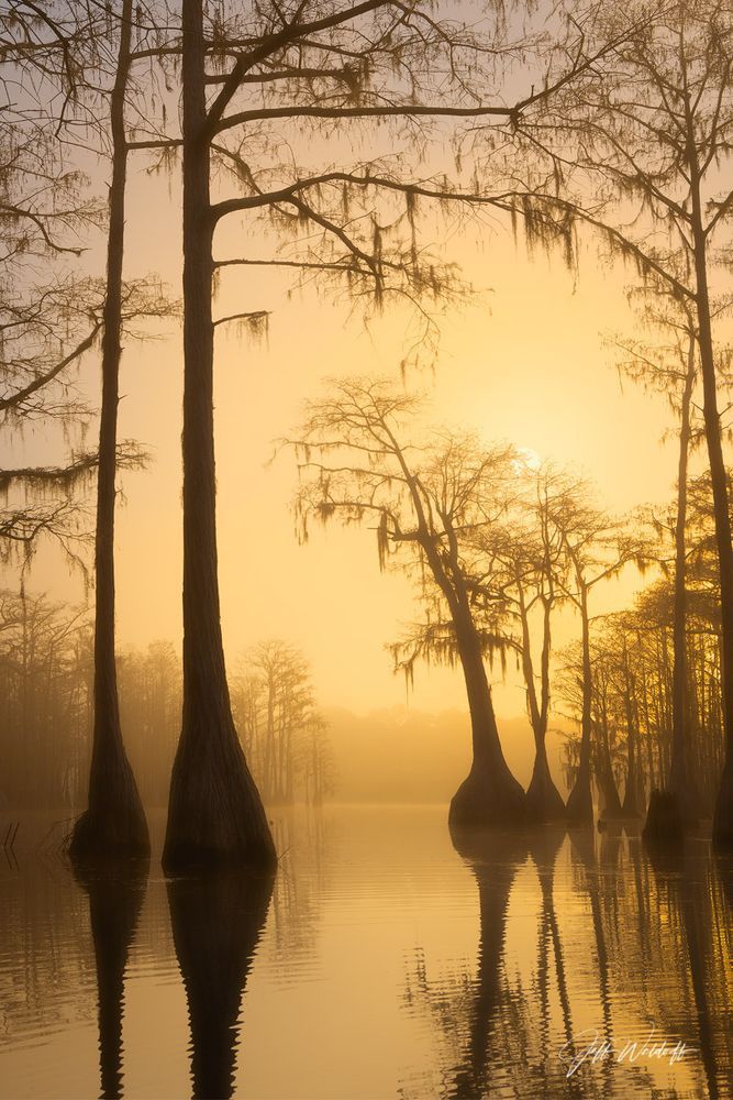 Mdawmdawmdawmdaw7qgraepd6cacehr zcfbfywxu2fyveayeunrgwctqqqltnerwweter6yomfiojy24adow ljj7f22f2vd2s3k0fn 38ezqodftc2xeuhdjufahdziomokxodj3hs jg da6ji5eudq olwagpj5emn4wjlyni4gjuq amiknu5wnkdezeqll7mrtu coru4cxij7h mpsrx9ukk7rruxnjxjh yrar69tuxayrkvfkd8 4o9hilpxvqknc5uhgv8ks nejcnhxpnudqsh9m9sl4rzu8m6lgudh xutbueayzk4velhkiyik