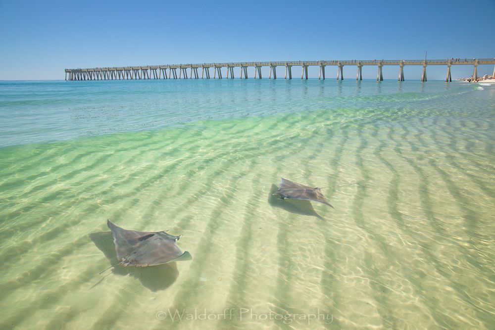 Dueling Devils | Navarre Beach, Florida | Fine Art Landscape Photography on Canvas, Paper, Metal, Acrylic | Photography by Jeff Waldorff