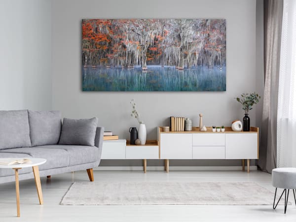 Cypress Trees of Northwest Florida - Southern Dreams| Fine Art Prints on Canvas, Paper, Metal, & More by Waldorff Photography